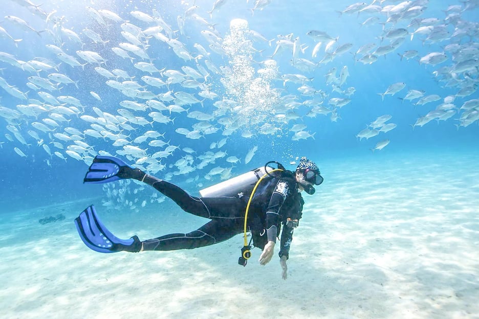 Dubai: Curso PADI de Buceo Básico