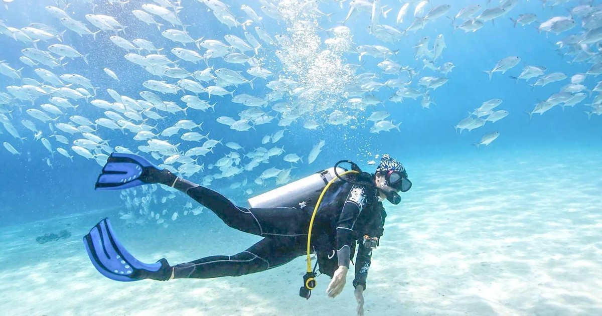 Dubai: PADI Basic Scuba Diving Course | GetYourGuide