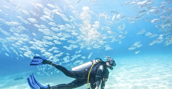 Dubai: PADI Basic Scuba Diving Course