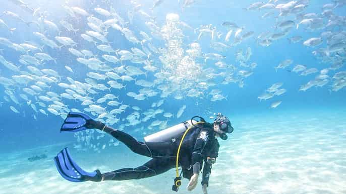 dubai padi basic scuba diving course