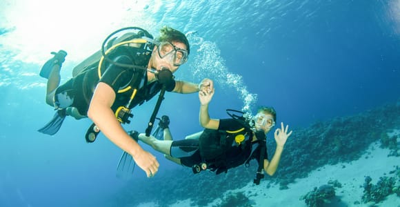 Ab Dubai: Halbtägiges Gerätetauchen und Schnorcheln in Fujairah