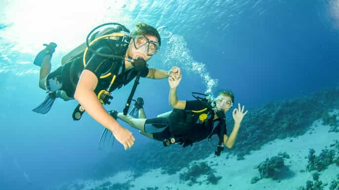 from dubai fujairah halfday scuba dive and snorkeling