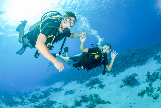 Desde Dubai: Descubre el submarinismo y el snorkel en Fujairah