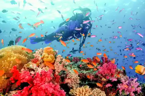 Дубай: сертификация PADI Open Water Diver на глубину 18 метров
