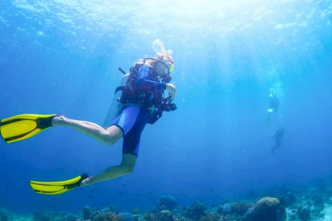 From Dubai: Fujairah Scuba Dive and Snorkeling