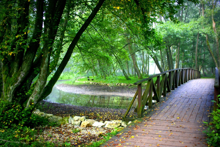 Tour privado desde Sarajevo: Parque Natural de Vrelo BosneOpción Estándar