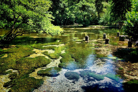 Tour privado desde Sarajevo: Parque Natural de Vrelo BosneOpción Estándar