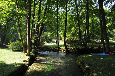 Private Tour von Sarajevo aus: Naturpark Vrelo BosneStandard Option