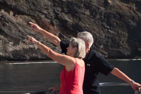 Costa Adeje: Masca and Los Gigantes Whale Watching Cruise