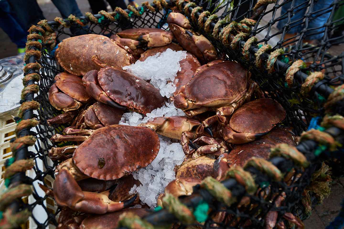 Edinburgh: Oban, Kilchurn Castle & Inveraray Tour in Spanish