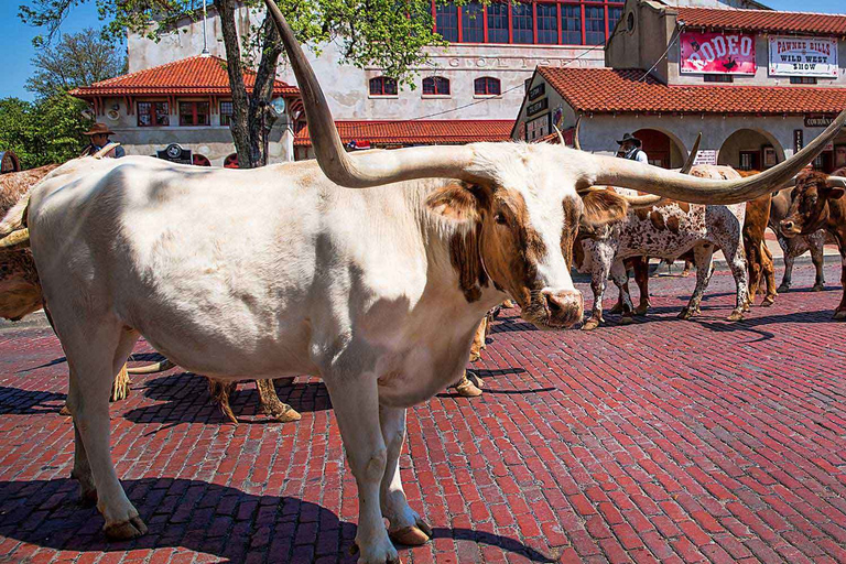 From Dallas: Fort Worth Guided Day Tour