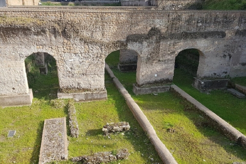 Gloire de la Rome antique et le Colisée 3 heures Visite privéeTournée française