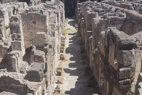 Glorie van het oude Rome en Colosseum 3 uur Private TourEngels Tour
