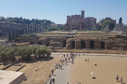 Chwała starożytnego Rzymu i Koloseum 3-godzinny Private Tourfrancuski Tour