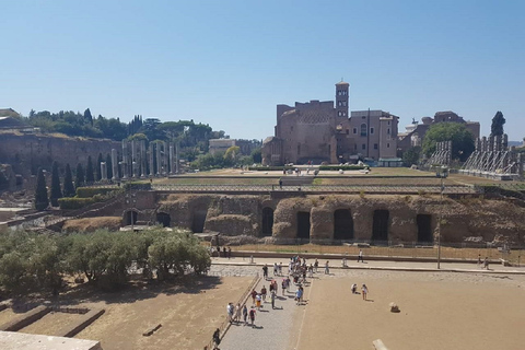 Glory of Ancient Rome and Colosseum 3-Hour Private Tour English Tour