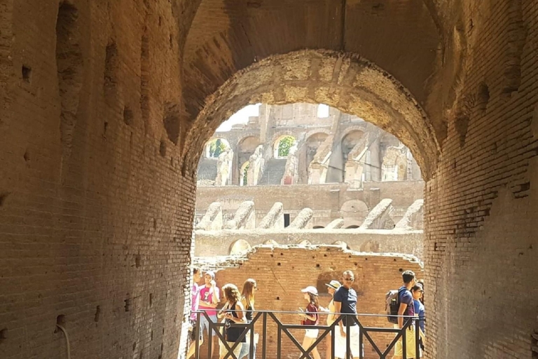 Glory of Ancient Rome and Colosseum 3-Hour Private Tour French Tour