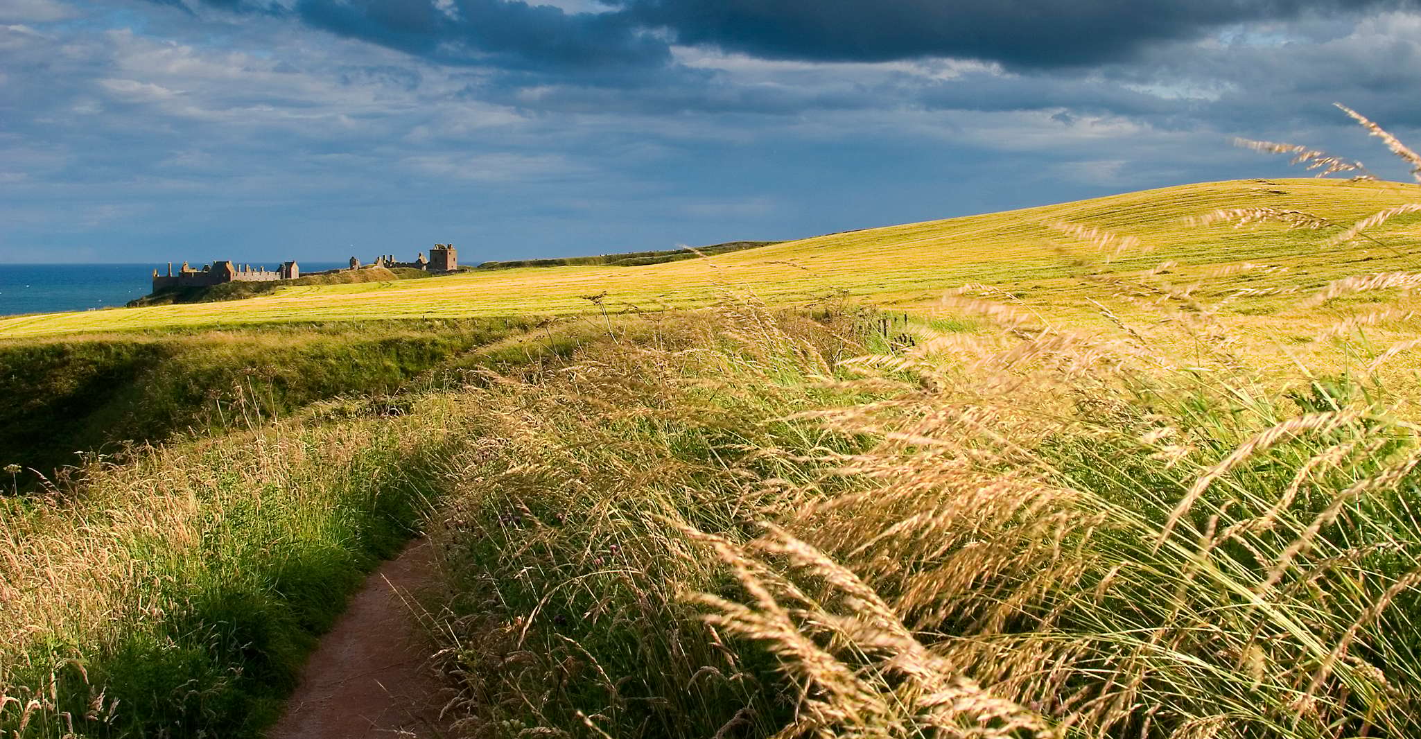De Edimburgo, Glamis y Dunnottar Castillos Tour en italiano - Hizvo