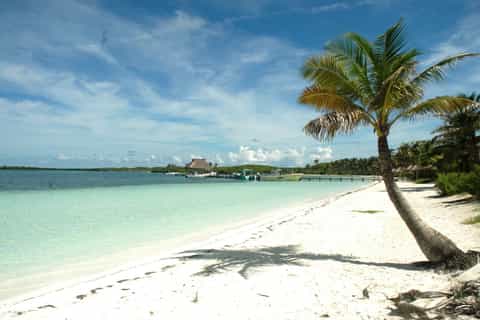 Riviera Maya: Contoy & Isla Mujeres dagtour met lunch
