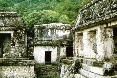 Au départ de Tuxtla Gutierrez : circuit de 4 jours à Palenque et au ChiapasDepuis Tuxtla Gutierrez : circuit de 4 jours à Palenque et au Chiapas