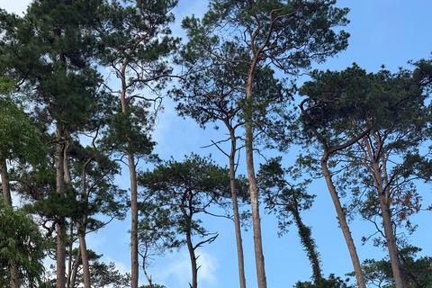 Tam Dao Private Day Tour With Misty Mountains, Cloud Views