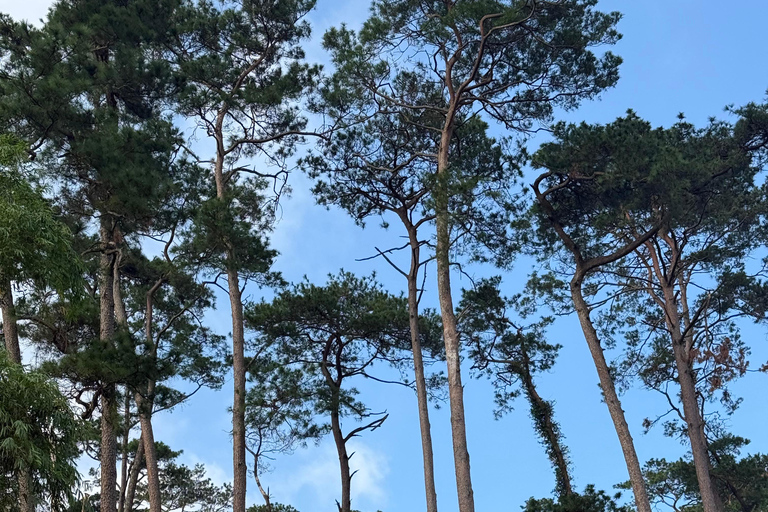 Tam Dao Private Day Tour With Misty Mountains, Cloud Views