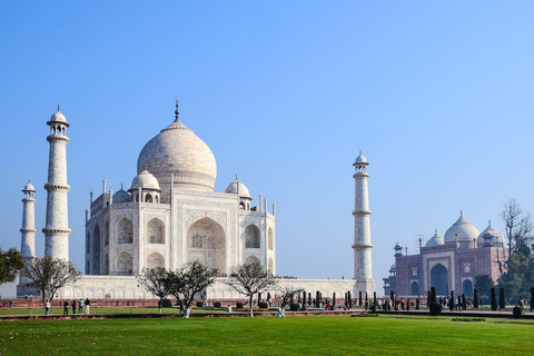 Agra: Sunrise Taj Mahal and Elephant/Bear Wildlife SOS Tour Tour without Entry Tickets and Lunch or Breakfast