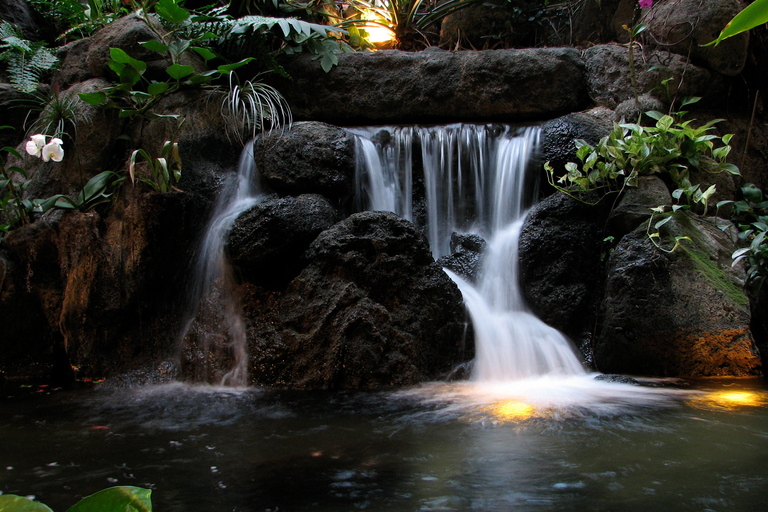 Parque Nacional Khao Yai: tour privado de 2 días desde BangkokTour privado con alojamiento estándar