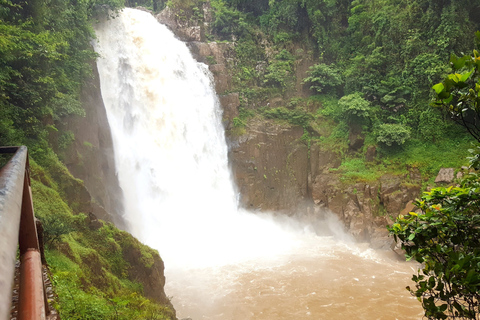 Park Narodowy Khao Yai: Wycieczka prywatna z BangkokuPrywatna wycieczka ze standardowym noclegiem