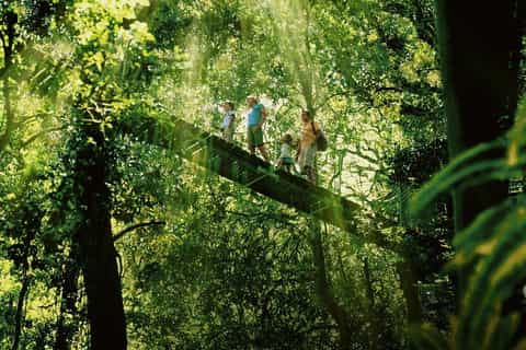 Gold Coast: World Heritage Rain Forest and Wilderness Tour