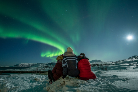 Tromsø: Northern Lights Guided Bus Tour Tromsø: Northern Lights Chase in Spanish