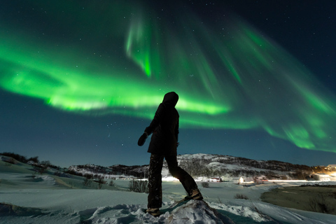 Tromsø: Geführte Bustour mit NordlichternTromsø: Jagd nach den Nordlichtern auf Spanisch