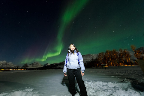 De Tromsø: Perseguição de ônibus guiada pela aurora borealDe Tromsø: Tour Guiado de Ônibus em Busca da Aurora Boreal