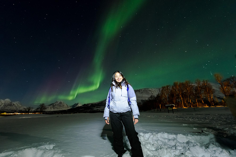 De Tromsø: Perseguição de ônibus guiada pela aurora borealDe Tromsø: Tour Guiado de Ônibus em Busca da Aurora Boreal