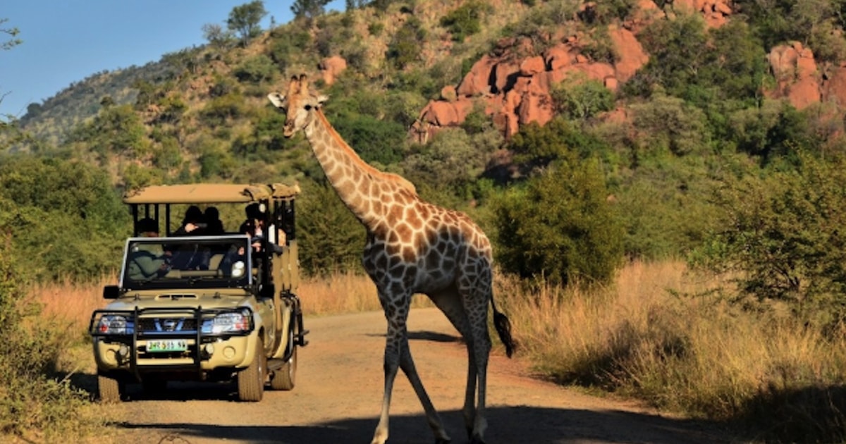 walking safari pilanesberg