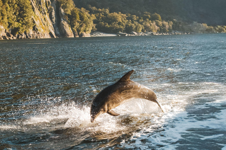 Milford Sound Small-Group Glass-Roof Tour from Queenstown Glass-Roof with a Fixed Wing Flyback