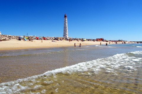 From Faro: 4 Stops, 3 Islands in Ria Formosa Catamaran Tour
