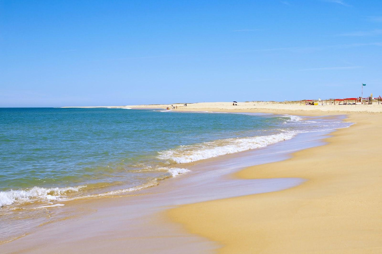 From Faro: 4 Stops, 3 Islands in Ria Formosa Catamaran Tour