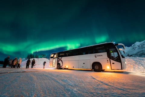 Tromsø: Tour guidato dell&#039;aurora boreale in autobusDa Tromsø: tour a caccia dell&#039;aurora boreale in spagnolo