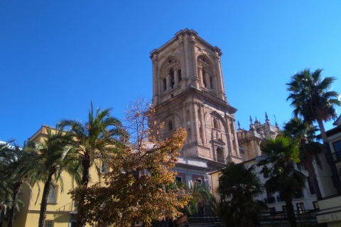 Granada: tour privado de 2,5 horas por el centro histórico y el Albaicín