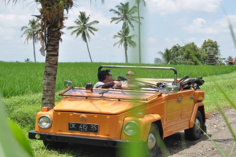 Bali: Landschafts-Safari im Vintage VW Jeep