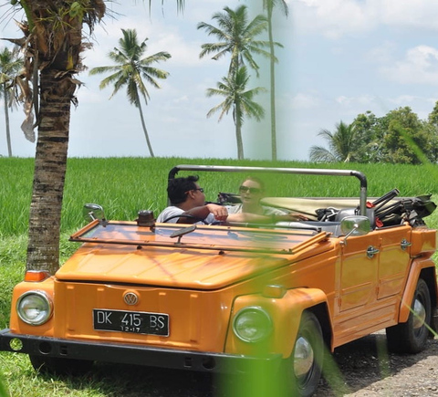 Sightseeing on wheels