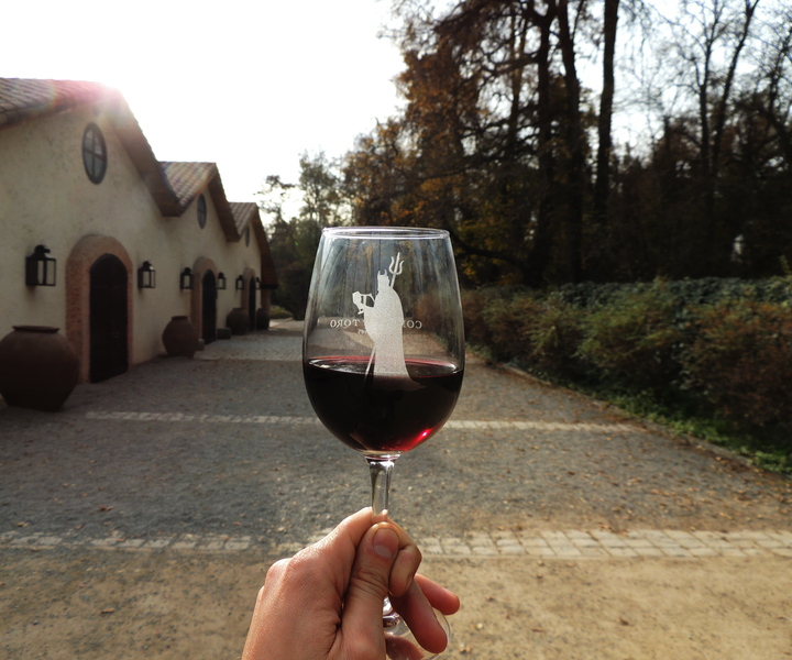Santiago: Concha y Toro and Undurraga Vineyards Tour