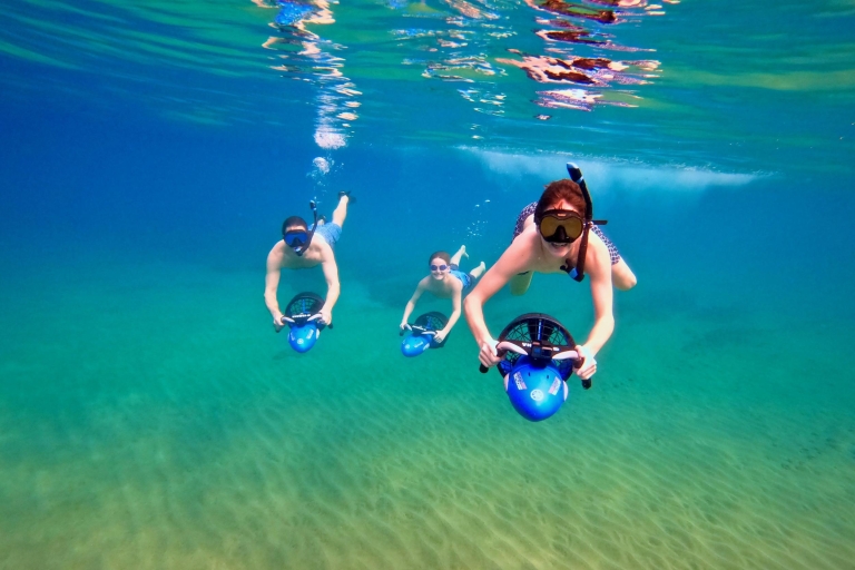 Maui: Snorkeling z przewodnikiem po morzu?