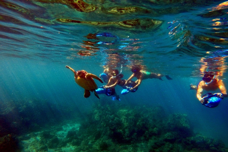 Maui: Snorkeling z przewodnikiem po morzu?