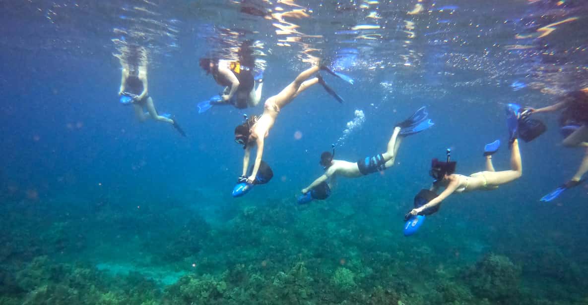 Maui: Guided Sea Scooter Snorkeling Tour