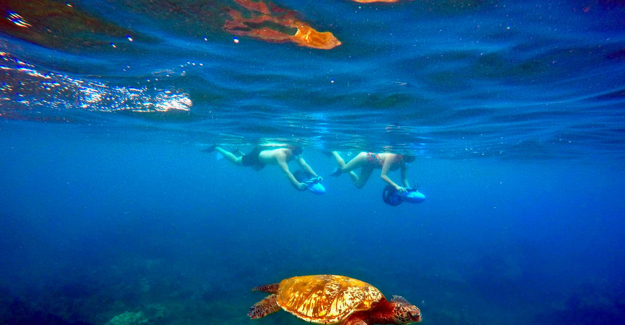 Maui Guided Sea Scooter Snorkeling Tour TourMega