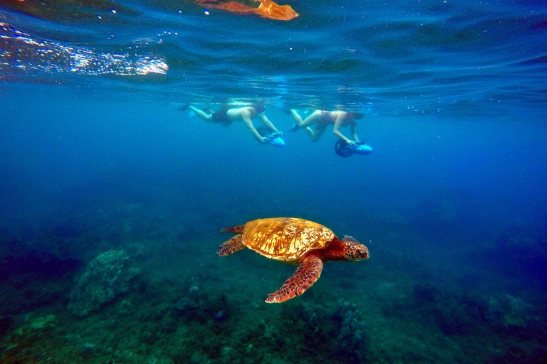 Maui: Private Schnorcheltour mit Unterwasser-Scootern