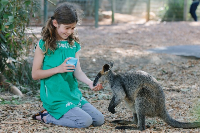 Visit Featherdale Wildlife Park General Entry Ticket in Hawkesbury, New South Wales, Australia