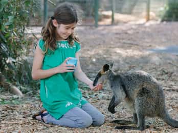 Ticket für den Featherdale Wildlife Park Ticket für den Featherdale Wildlife Park