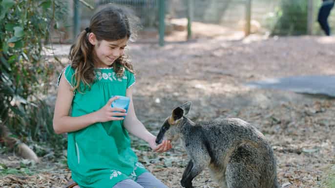 featherdale wildlife park general entry ticket